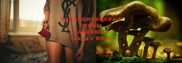 ешки Лиски
