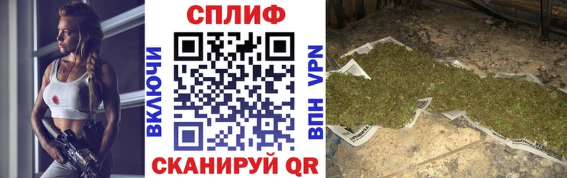 Купить где  Курганинск  Каннабис индика 